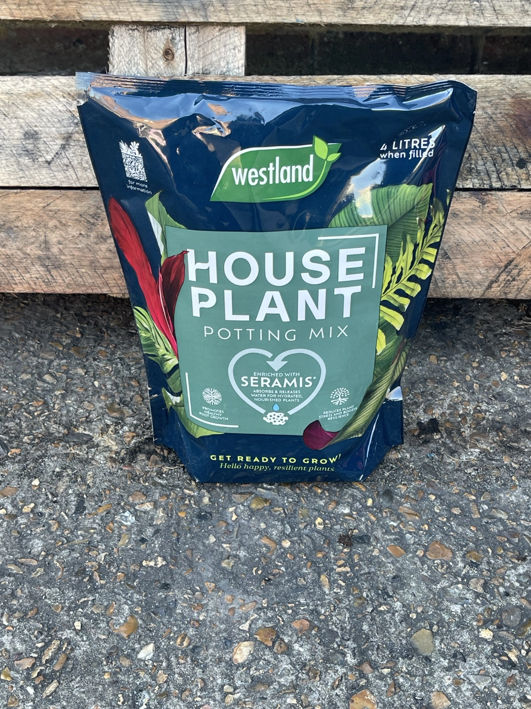 Westland House Plant Potting Mix-image